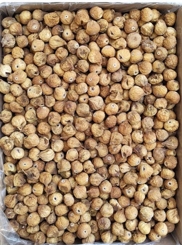 انجیر سایز درشت 3Aمعمولی