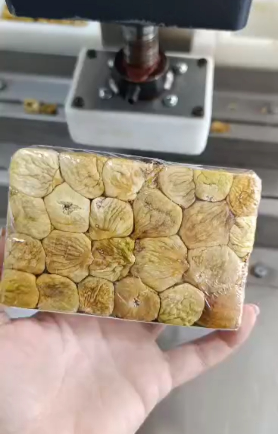 انجیر پرسی دو طرف سفید