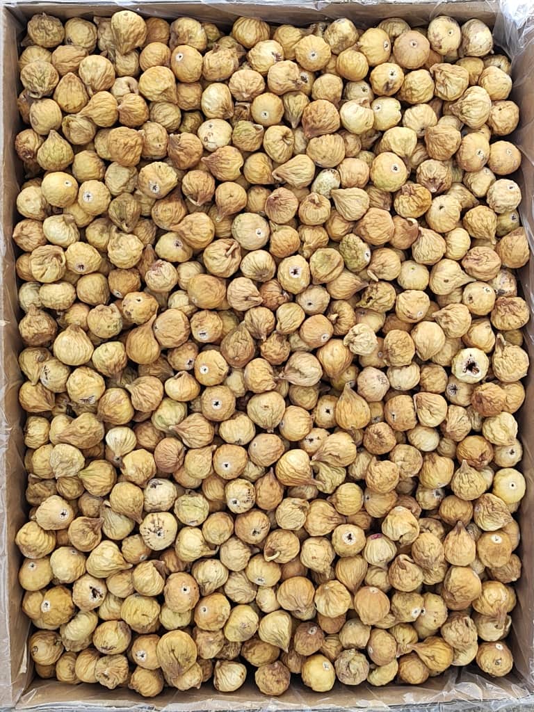 انجیر سایز ریز Aکیفیت سوپر عالی